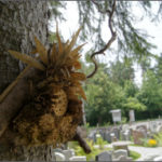 Insektenhotel - Ausstellung Franke