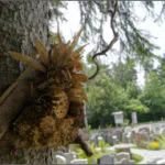 Insektenhotel - Ausstellung Franke