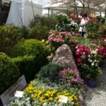 Gartentage in der alten Spinnerei Kolbermoor