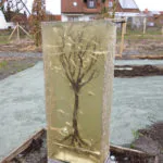 Lebensbaum in klarem Gießharz