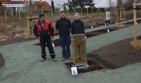 Lebensbaum in klarem Gießharz