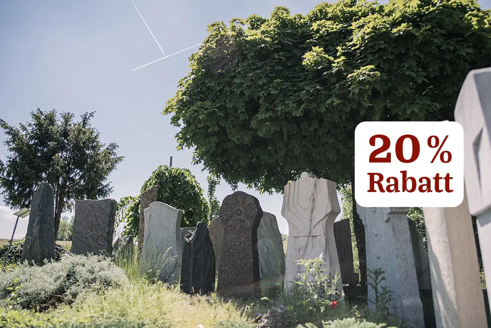 Franke-Naturstein-Rabattaktion-2025