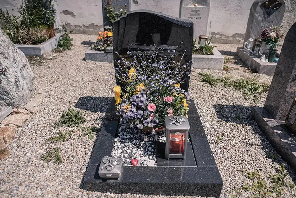 Grabbepflanzung I Pflanzenwahl, Erde und Standort